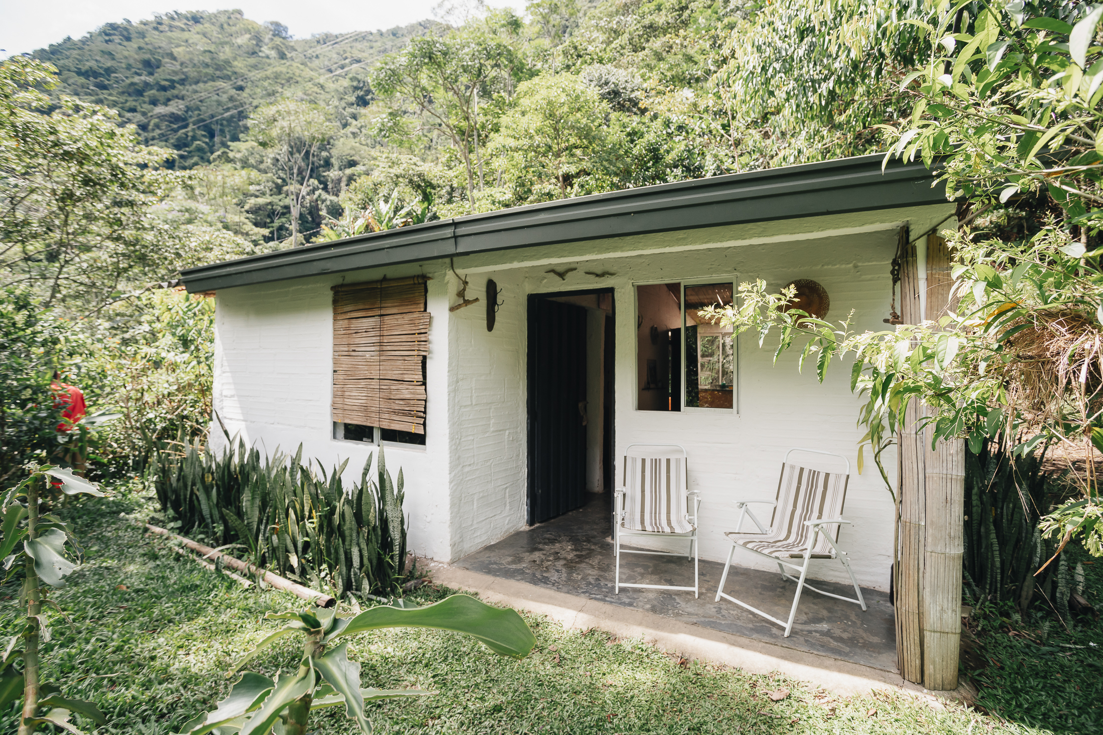 Casa Aves