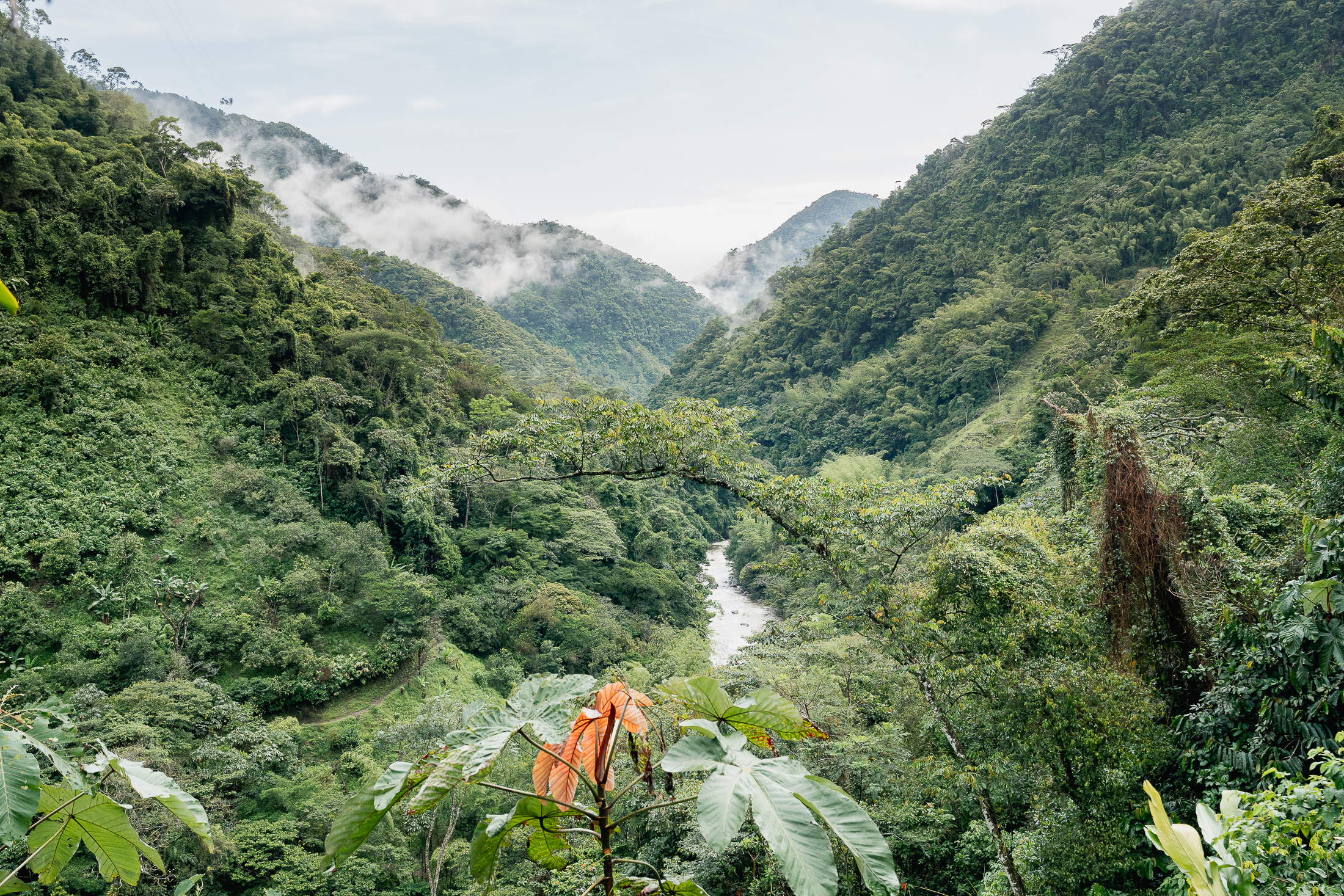 Vista del cañón del río Santo Domingo entre la niebla